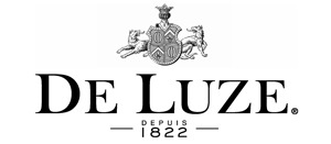 Logo De LUZE