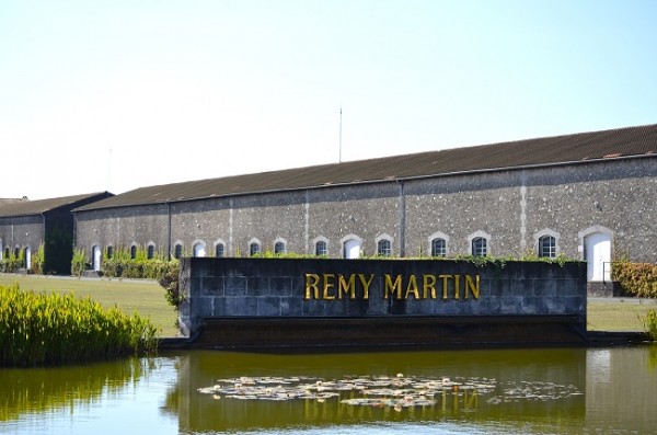 REMY MARTIN