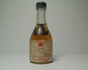 BRUGEROLLE NAPOLEON 45 Grands Prix Cognac