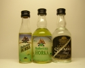 FLERET Radhoštská Hořká - Vodka Stromski