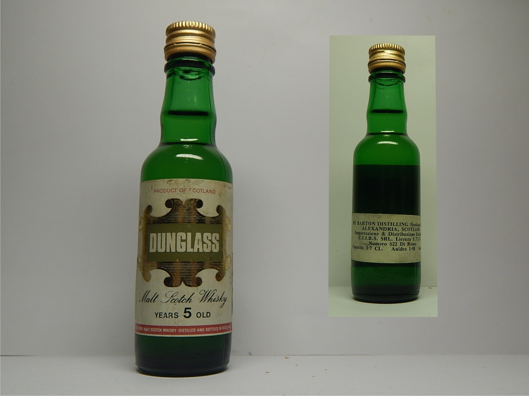 DUNGLASS MSW 5yo 3.7CL. Gradi 43 "Italia"