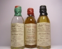 Michel Couvreur GSW 4yo , SMSW 21yo , MSW 12yo