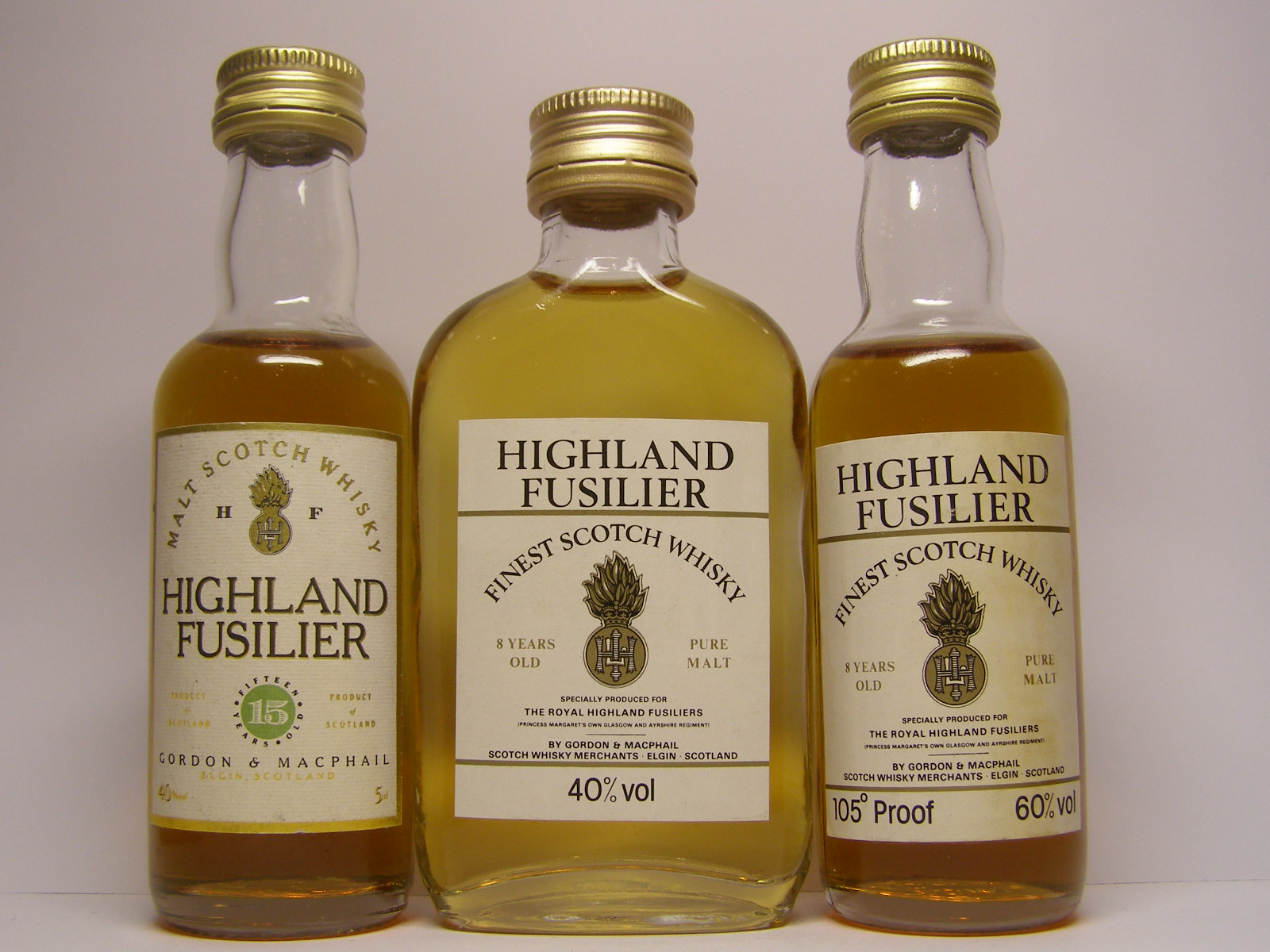 Highland Fusilier MSW 15yo , FSW 8yo , FSW 8yo