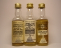 Campbeltown VMW 12yo Drumore - Springbank - Rieclachan