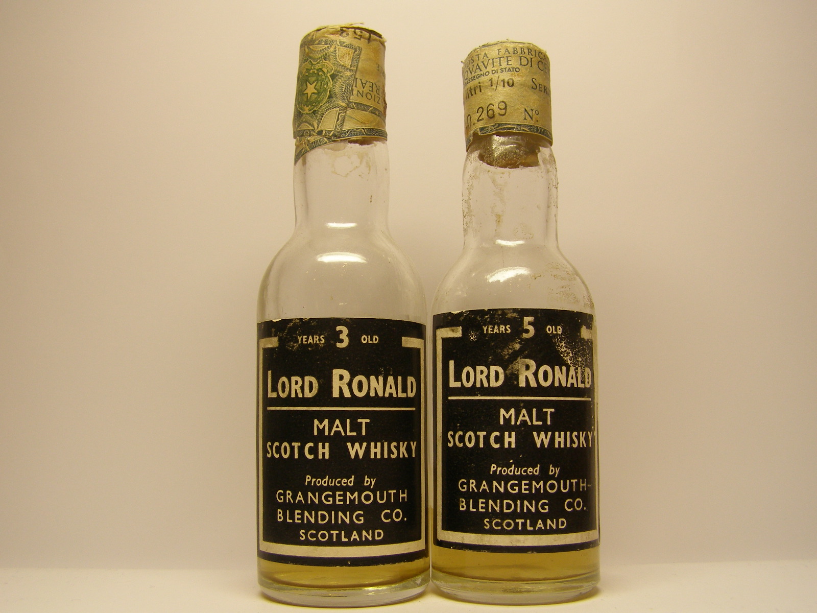 Lord Ronald MSW 3yo , MSW 5yo